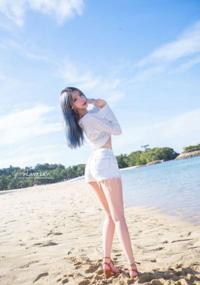 紫罗兰永恒花园在线看樱花动漫_1080高清在线
